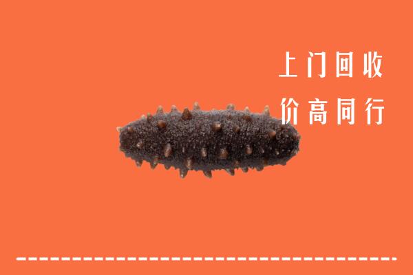 毕节赫章县回收海参