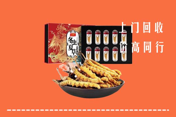 毕节赫章县回收虫草